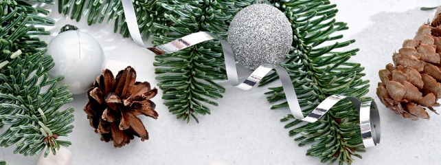 Adventmarkt Bärnkopf